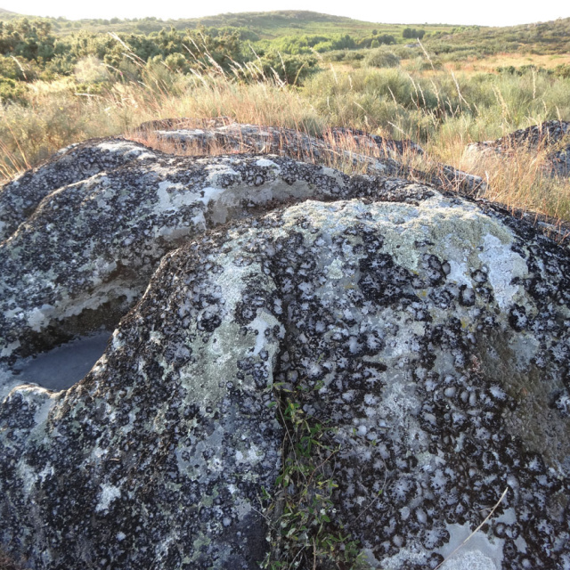 Petroglifos y Mámoas de Monte Cubreiro