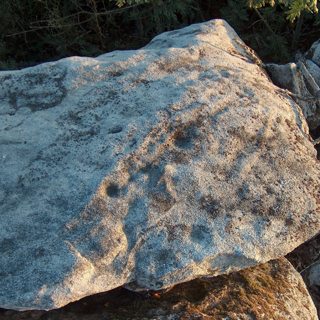 Petroglifos de Monte Campelo