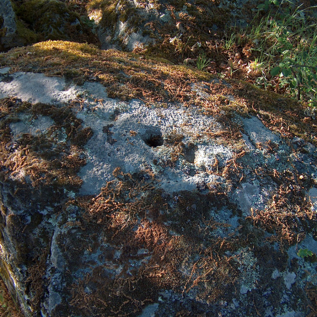 Petroglyphs of Monte Lampaza